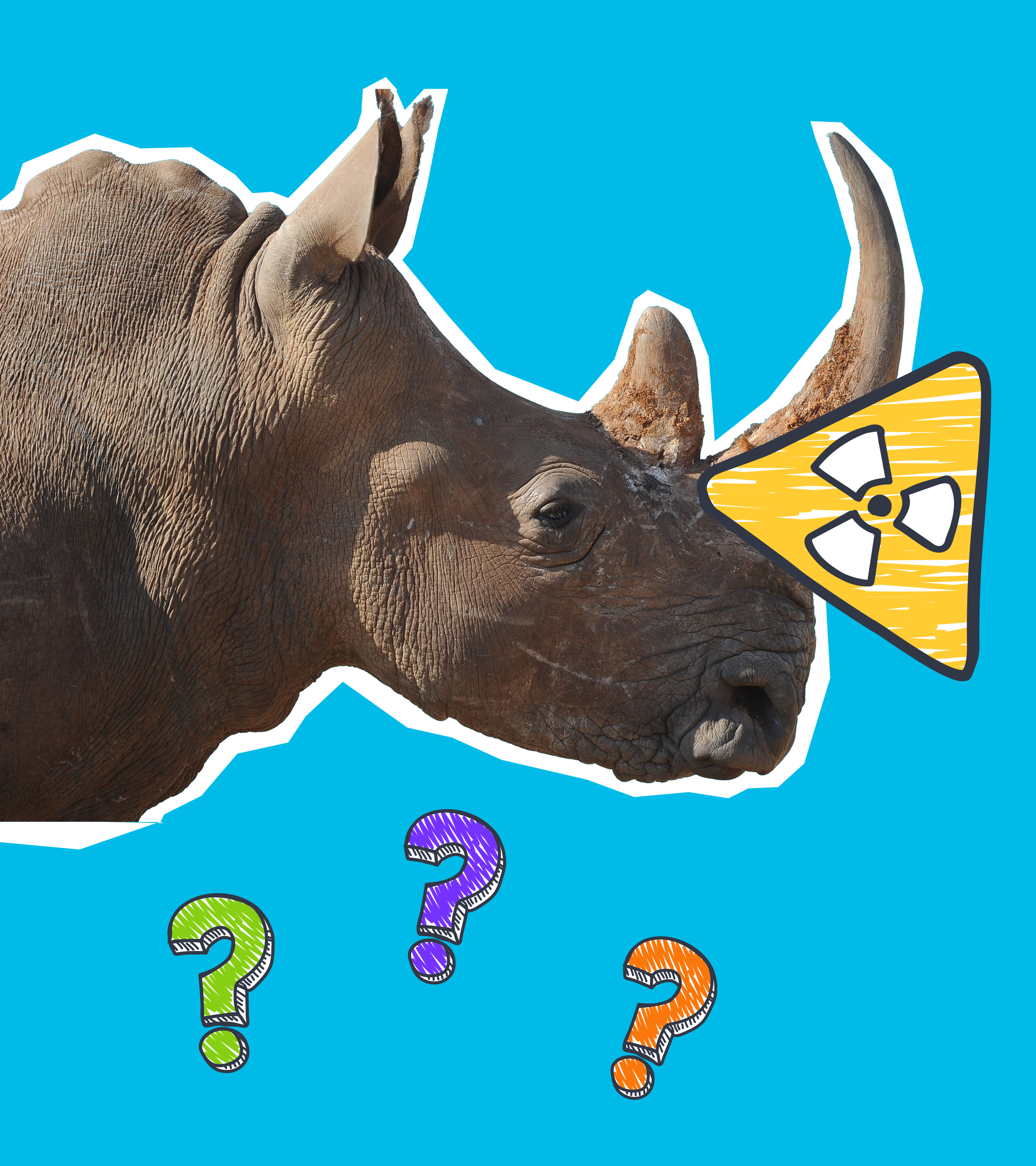 Ein ausgeschnittenes Nashorn, dazu ein Warnung-Radioaktiv-Zeichen und mehrere bunte Fragezeichen