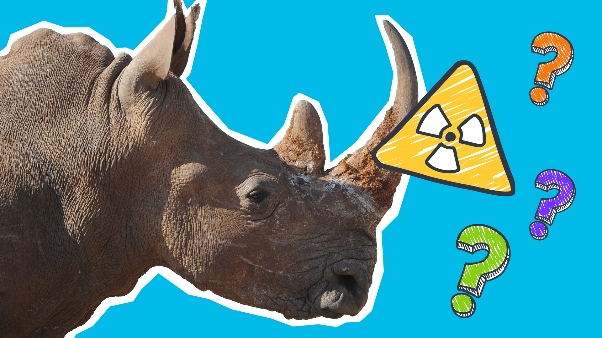 Ein ausgeschnittenes Nashorn, dazu ein Warnung-Radioaktiv-Zeichen und mehrere bunte Fragezeichen