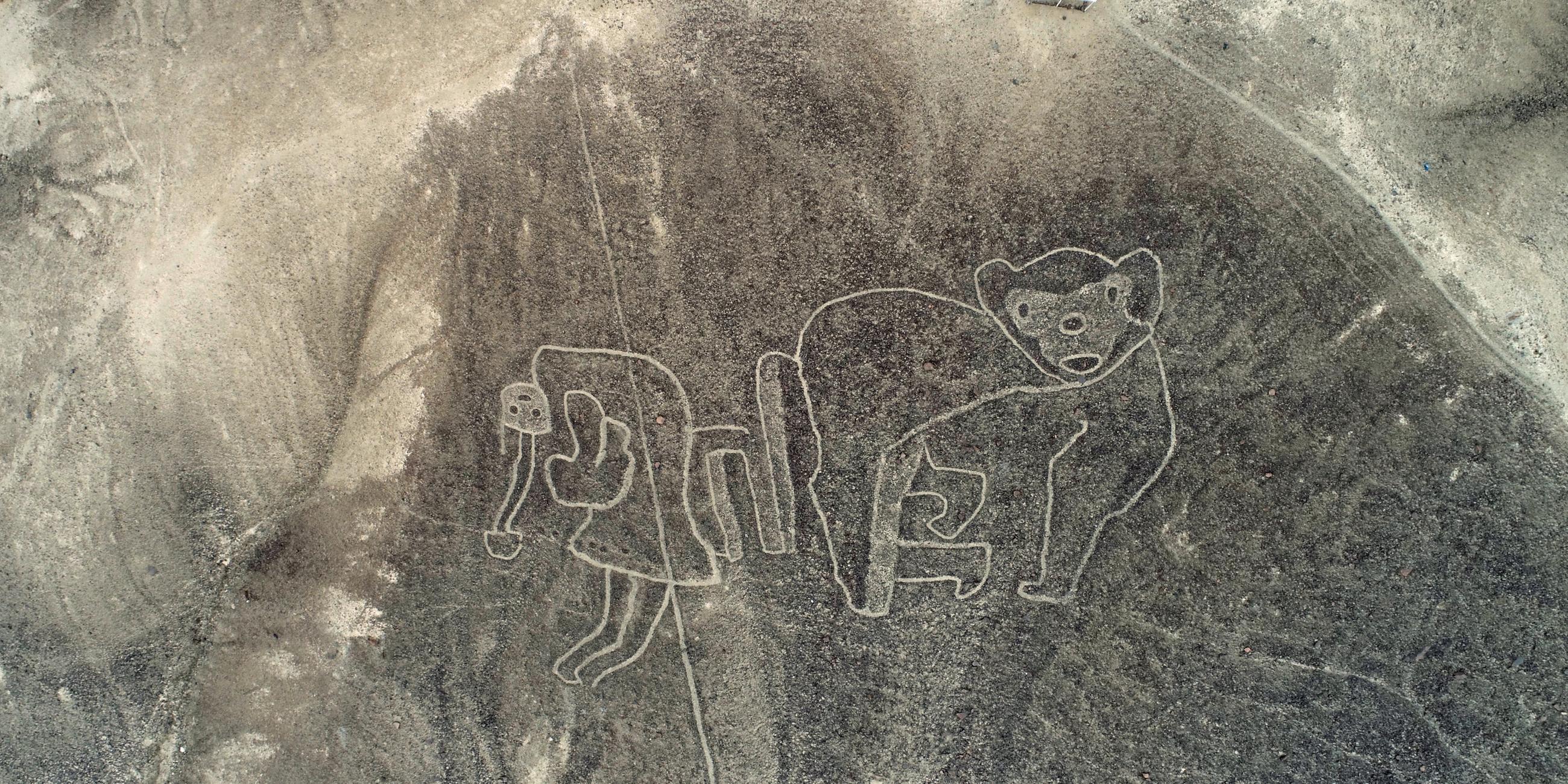 Scharrbild eines Affen in der Wüste Perus