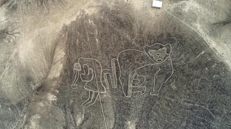 Scharrbild eines Affen in der Wüste Perus