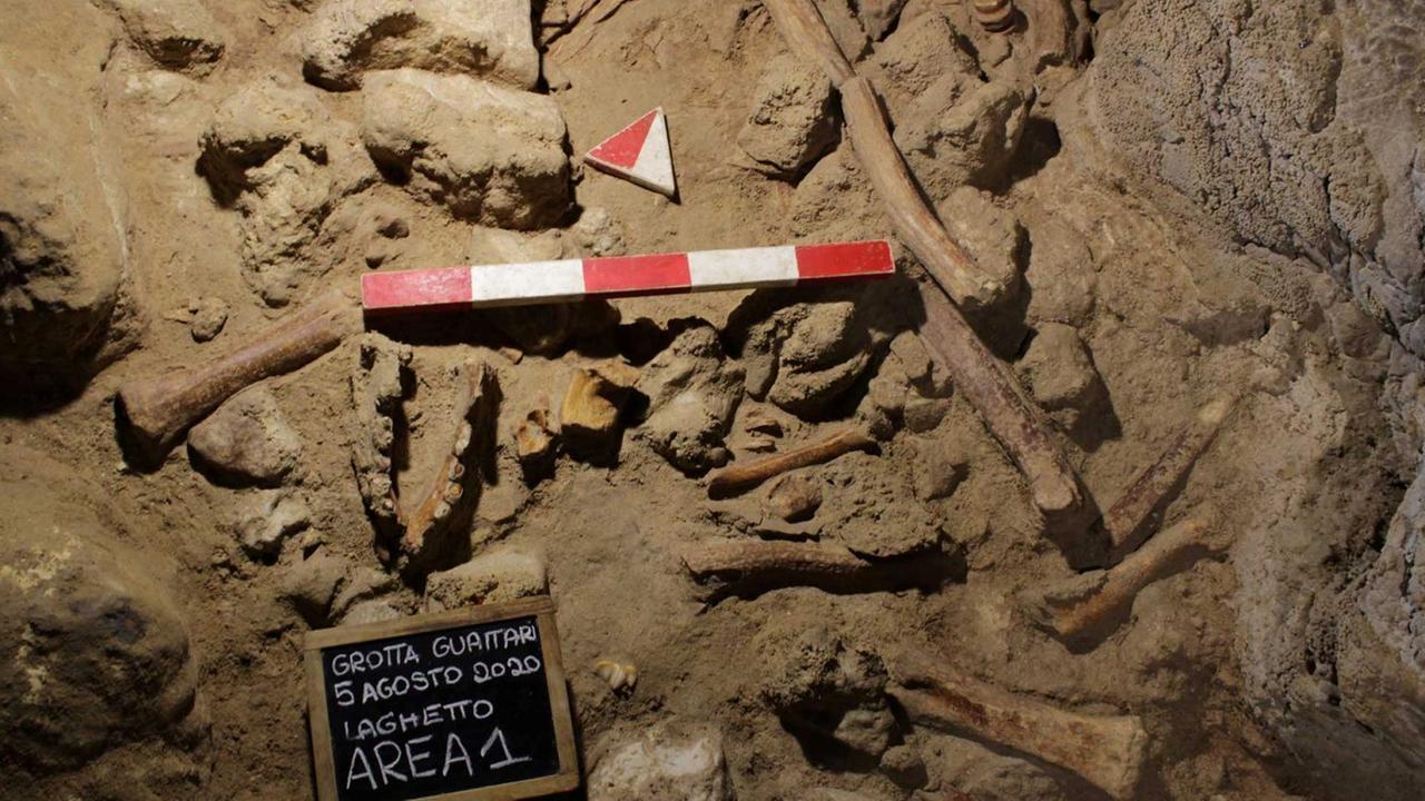 Neandertaler-Knochen in der Guattari-Höhle