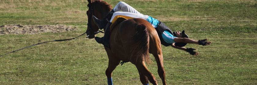 In Nepal findet aktuell ein Pferde Festival statt. 