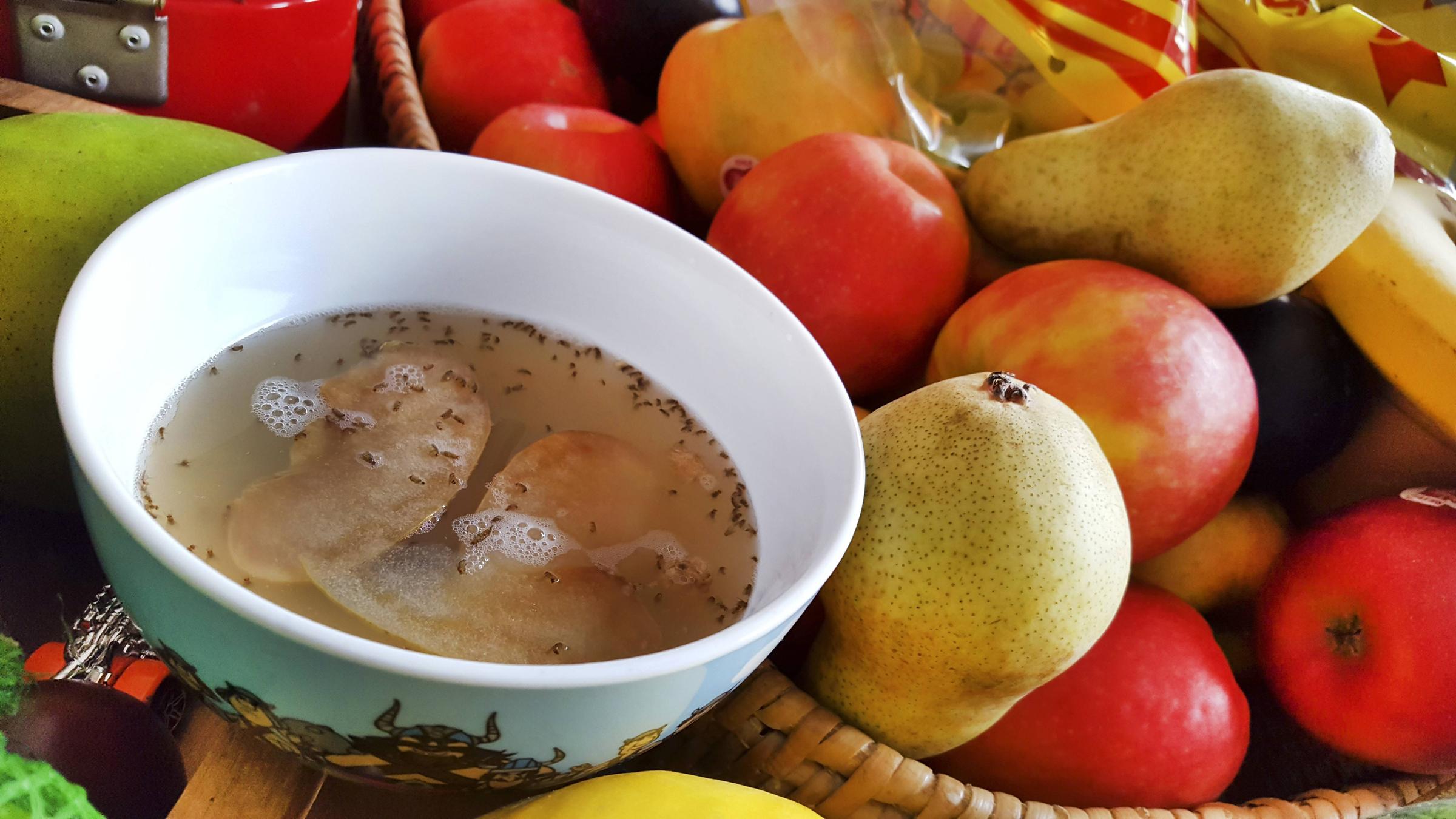 Fruchtfliegen in einer Schüssel