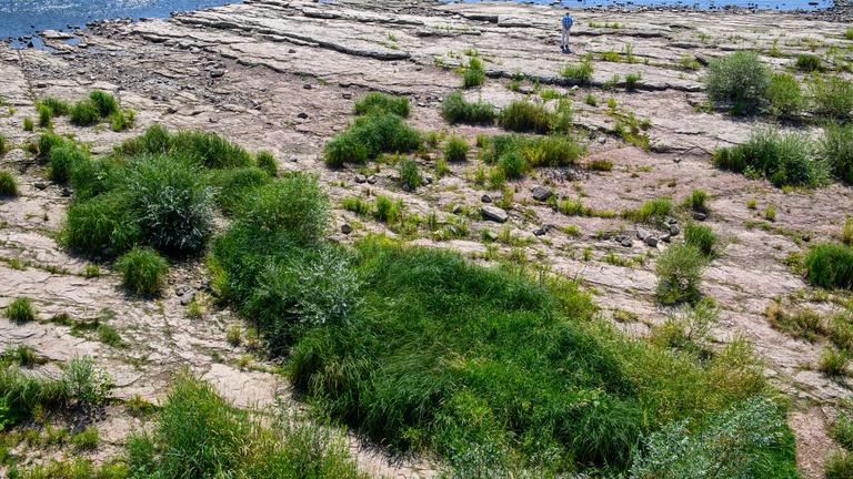 Eine felsige Ebene erstreckt sich vor einem Fluss. Darauf steht ein älterer Mann mit dem Rücken zur Kamera. 