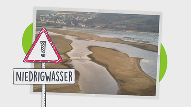 Niedrigwasser im Rhein