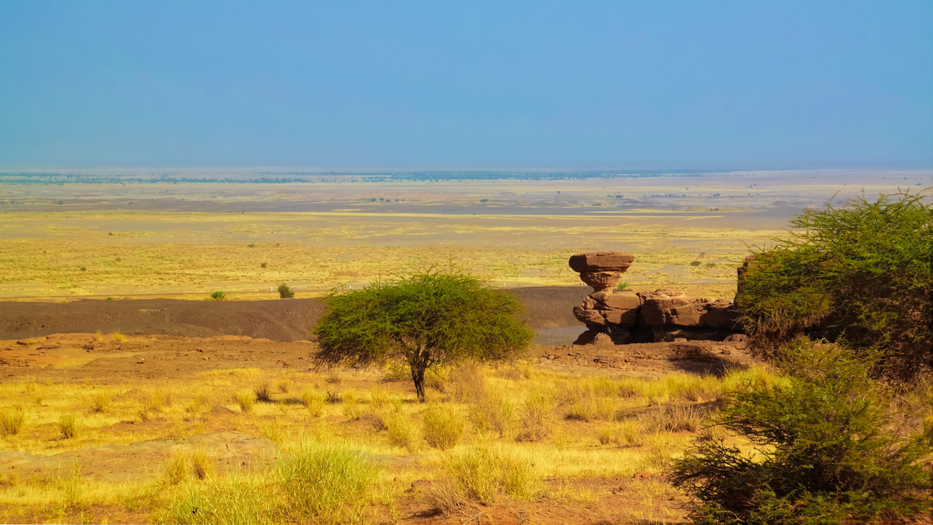 Die Sahara in Niger