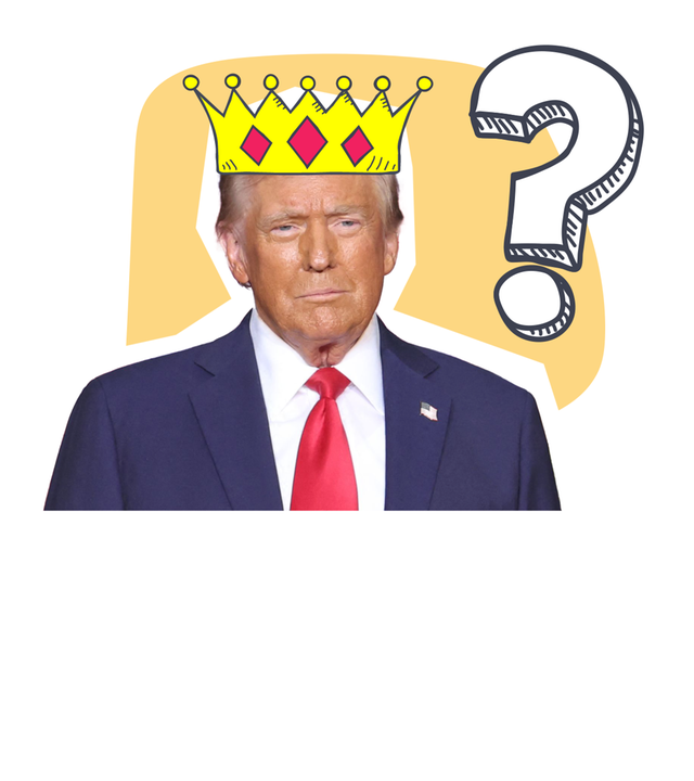 No Kings Proteste USA einfach erklärt