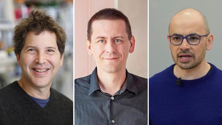 Der Nobelpreis für Chemie geht in diesem Jahr zu einer Hälfte an David Baker (USA), zum anderen Teil zusammen an Demis Hassabis und John Jumper, die beide in Großbritannien arbeiten. Baker erhält den Preis für rechnergestütztes Proteindesign, Hassabis und Jumper für die Vorhersage der komplexen Strukturen von Proteinen.