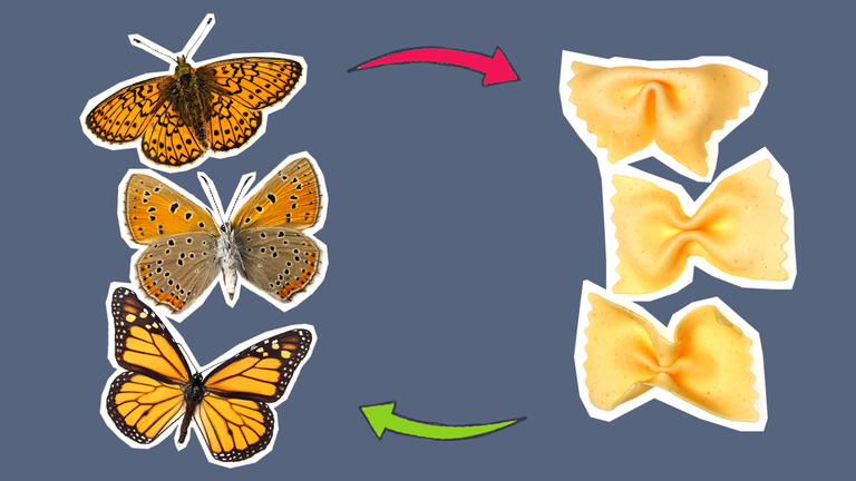 Schmetterlinge = Farfalle