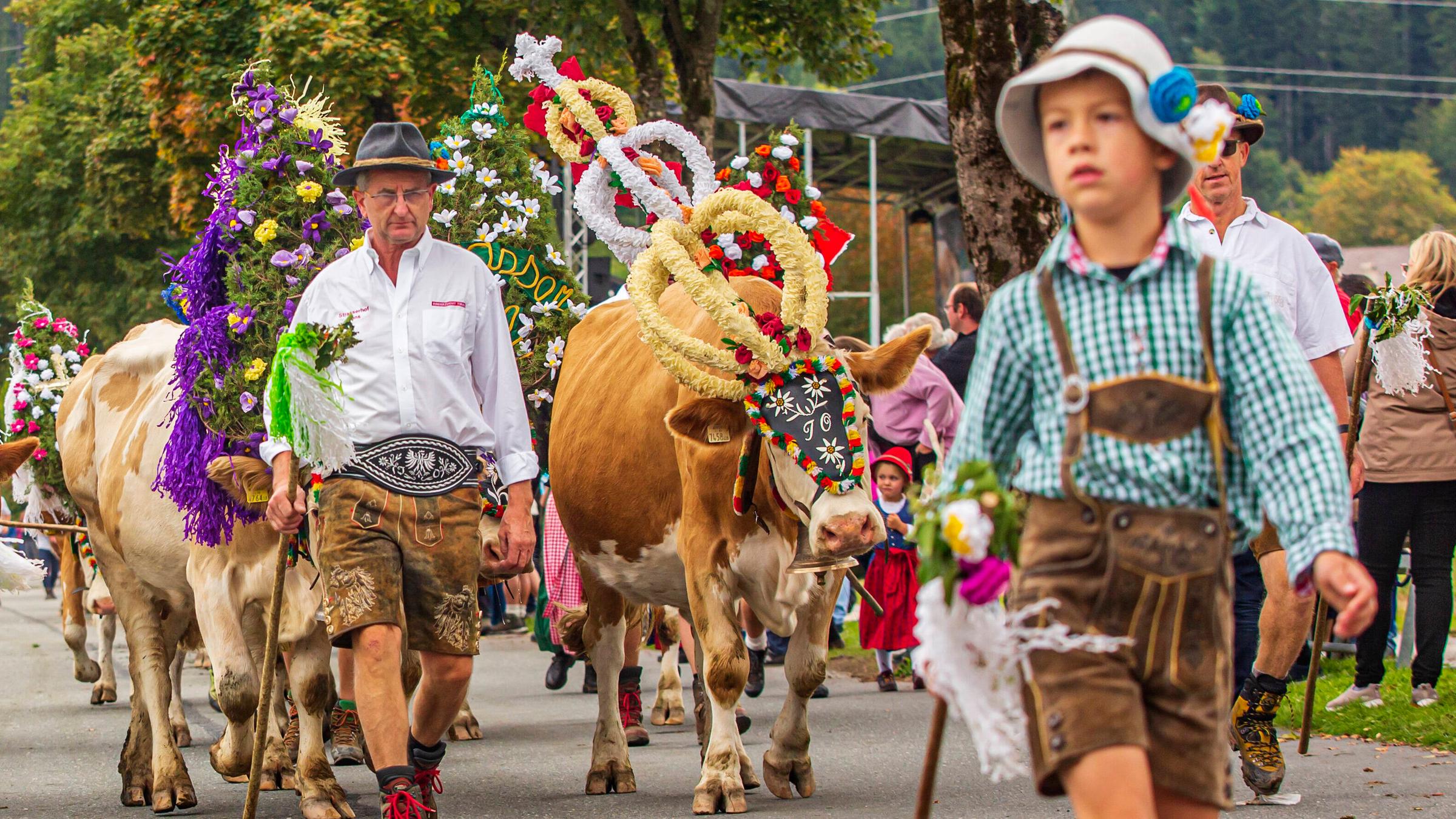 Bilder aus Österreich