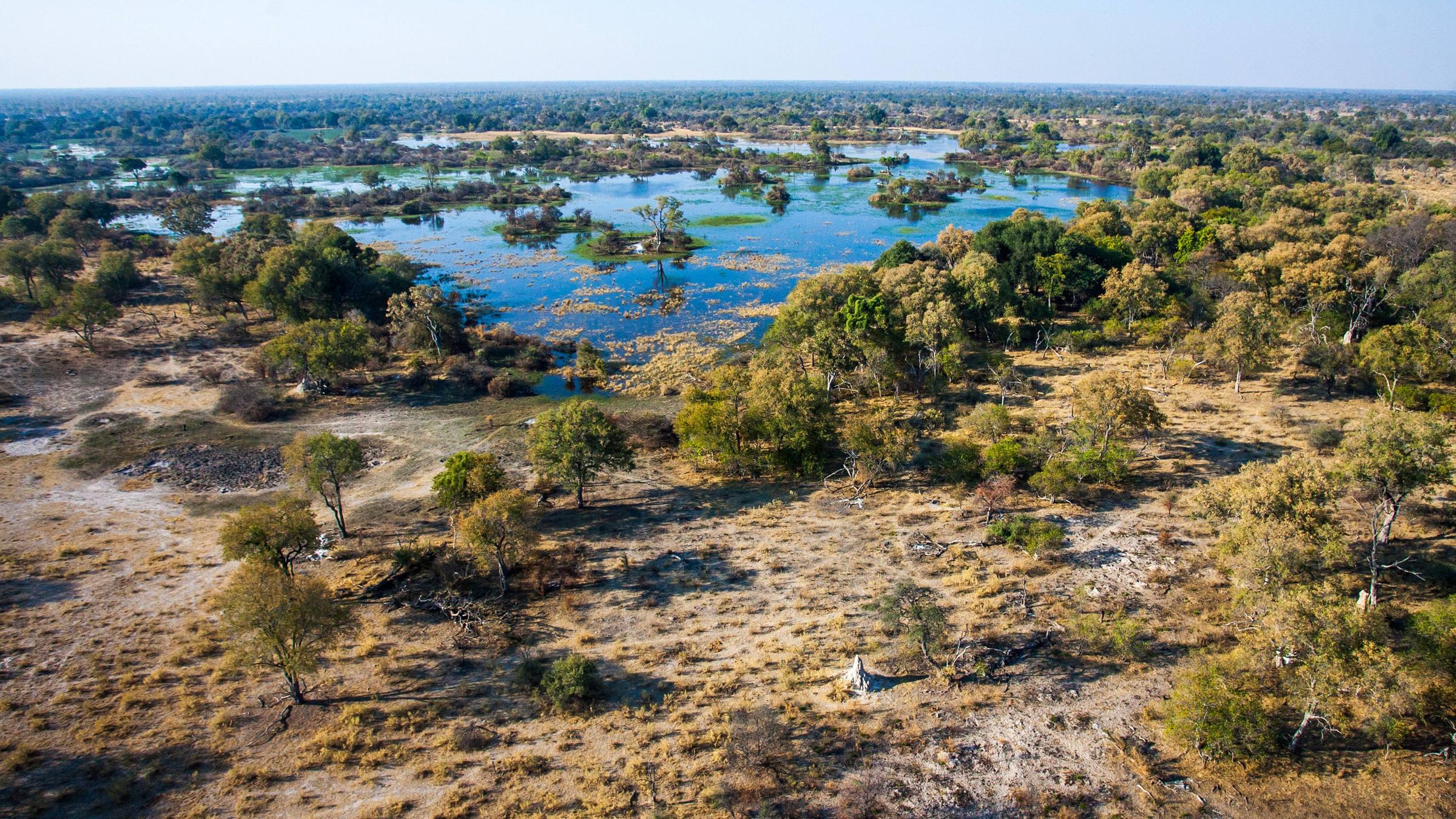 Okavango-Delta