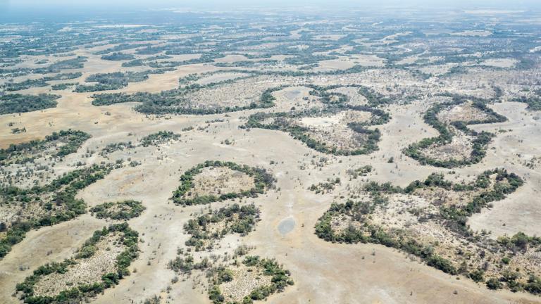 Okavango-Delta