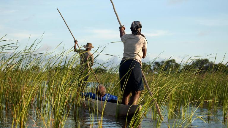 Okavango-Delta