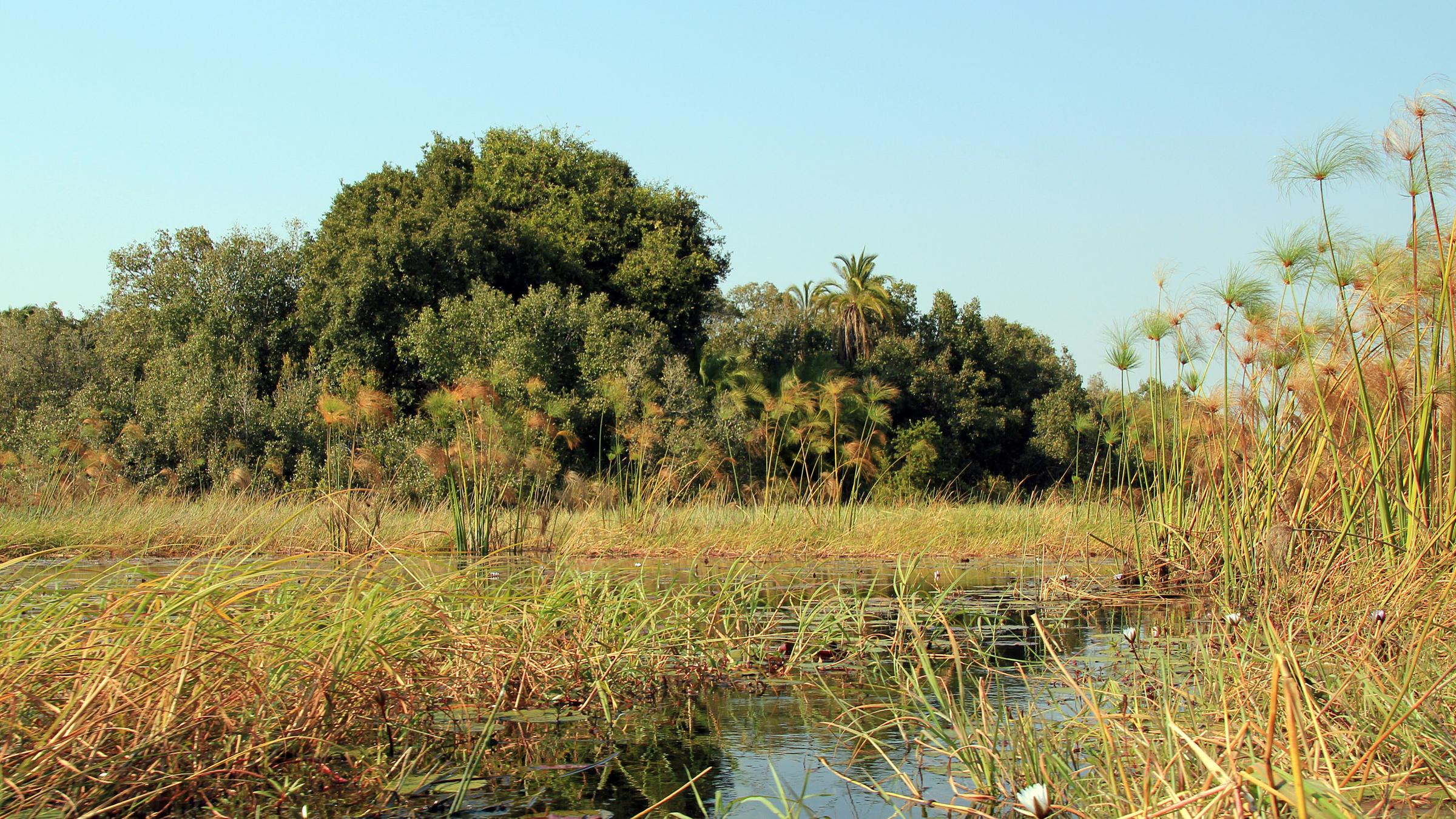 Okavango-Delta