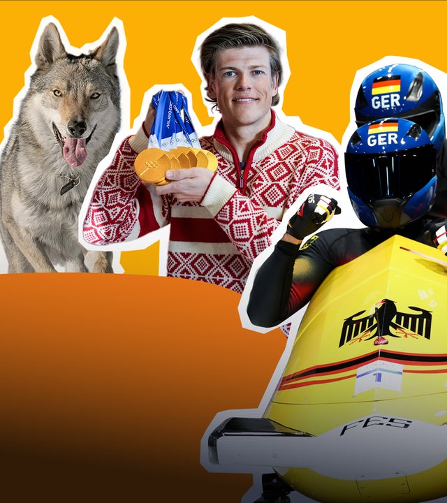 Hund; Goldmedaillen; Bob