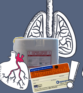 Grafik zu Organspende mit Organspendebox, Lunge, Herz und zwei Körpern mit illustrierten Organen