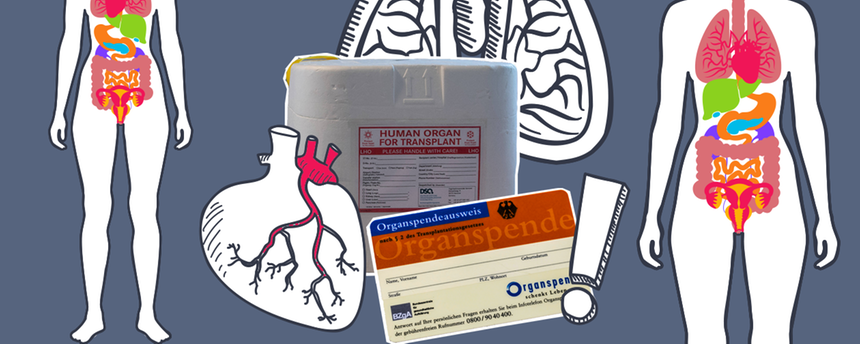 Grafik zu Organspende mit Organspendebox, Lunge, Herz und zwei Körpern mit illustrierten Organen