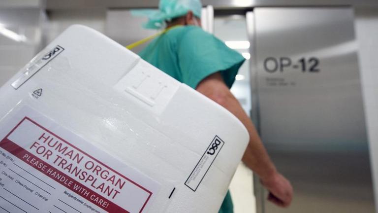 Ein Behälter, in dem Organe transportiert werden können, wird in den OP gebracht. 