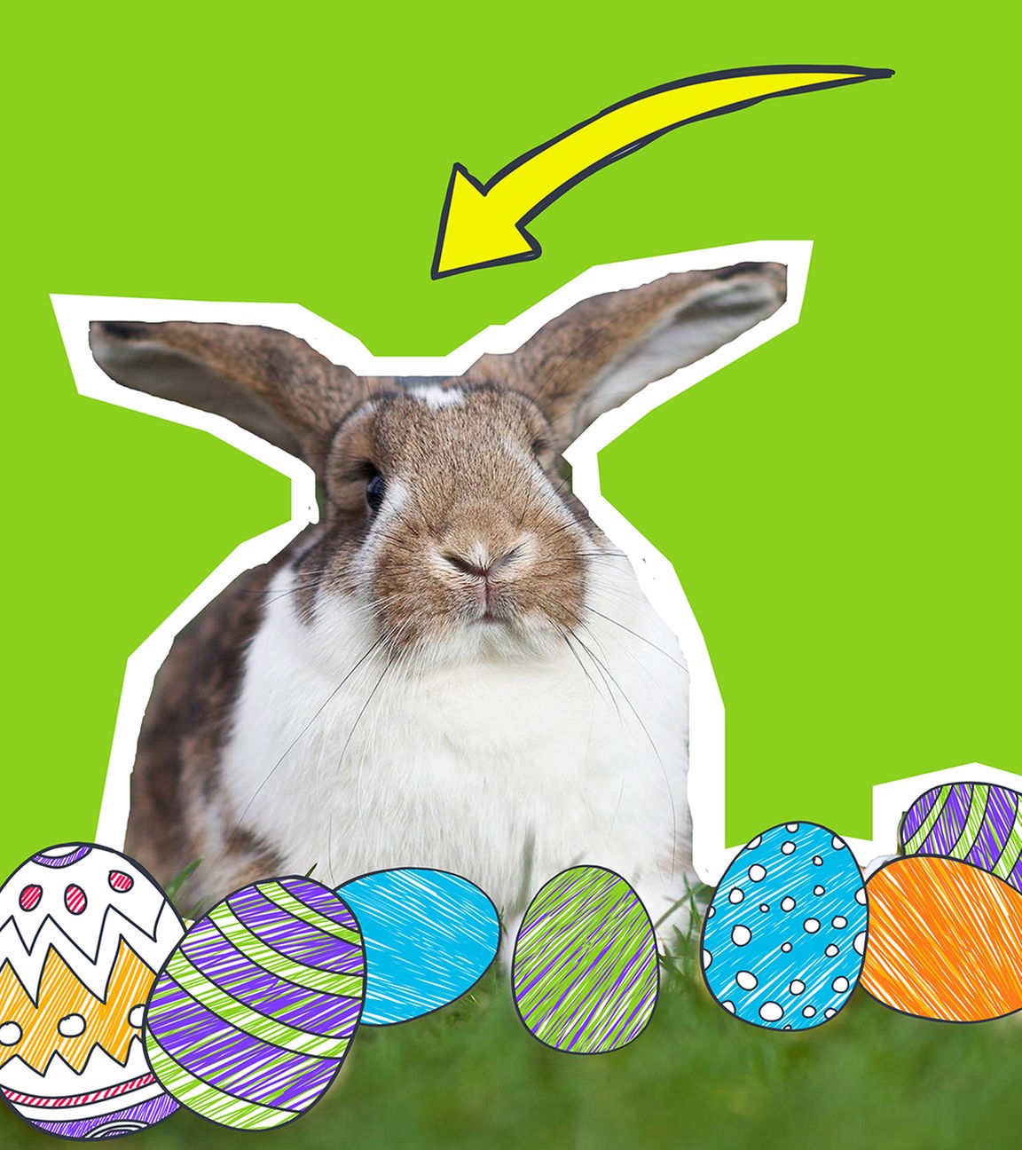 Ein Hase sitzt im Gras mit bunt bemalten Eiern auf grünem Hintergrund mit gelben Pfeilen