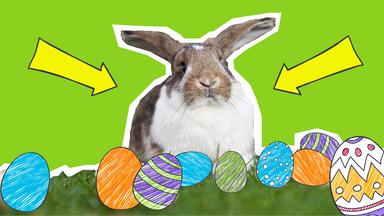 Ein Hase sitzt im Gras mit bunt bemalten Eiern auf grünem Hintergrund mit gelben Pfeilen