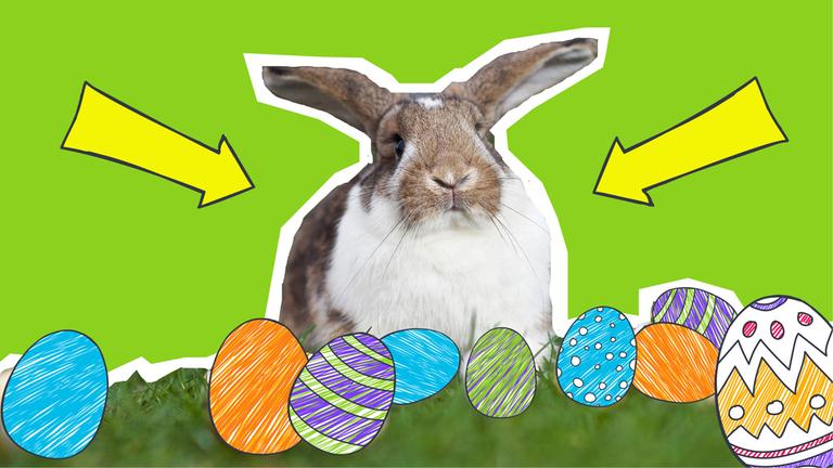 Ein Hase sitzt im Gras mit bunt bemalten Eiern auf grünem Hintergrund mit gelben Pfeilen