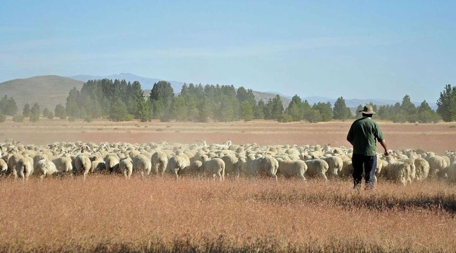 Patagonien 12