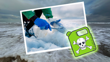 Schaumberge im Meer, Probenentnahme und Grafik von Gift