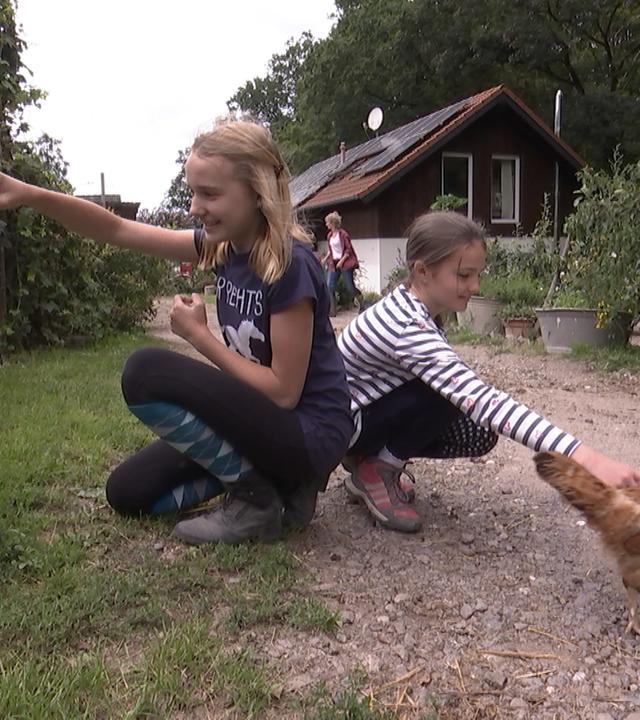 Zwei Mädchen spielen mit Hühnern 