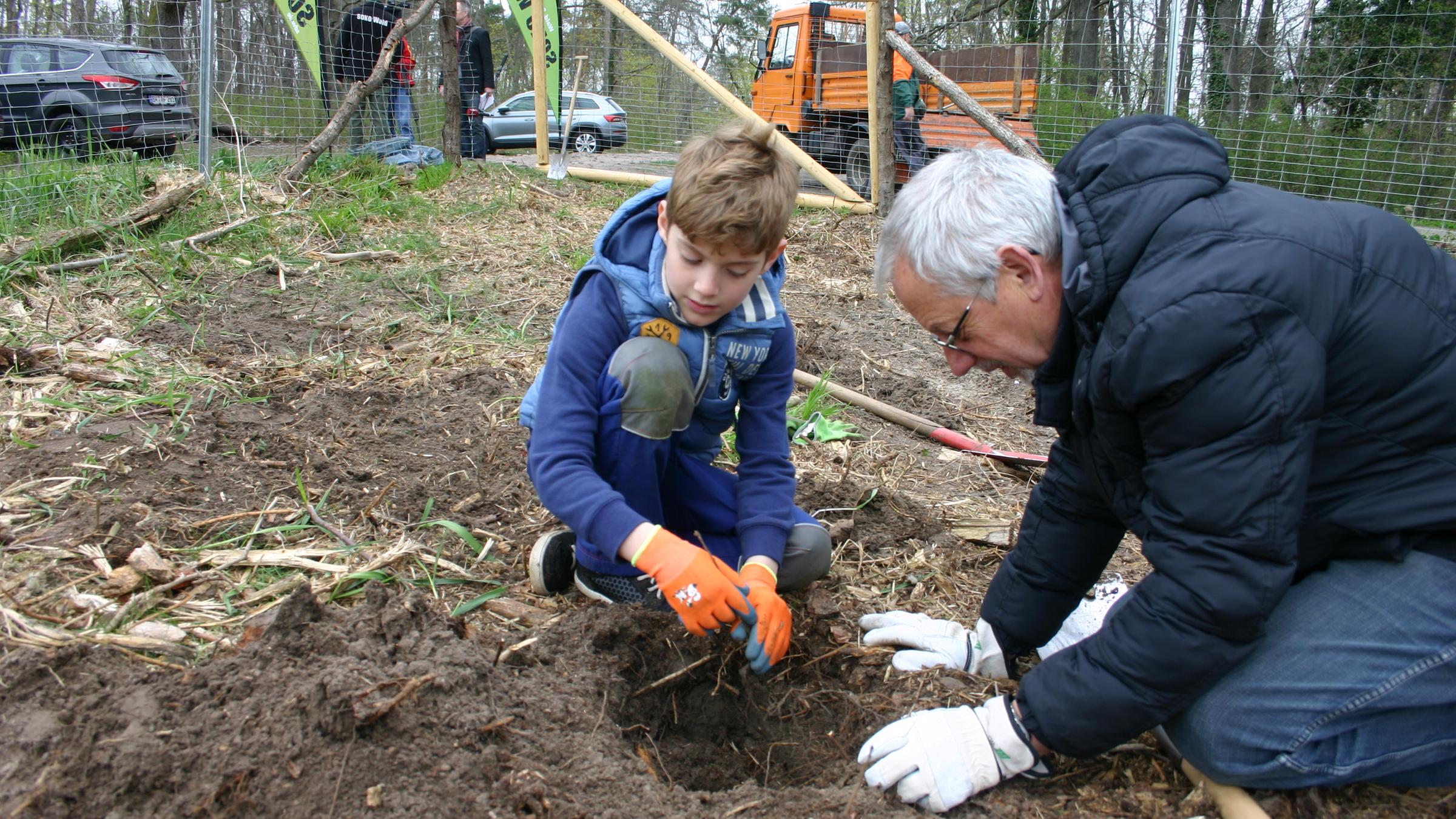 Noa pflanzt mit seinem Opa einen Baum