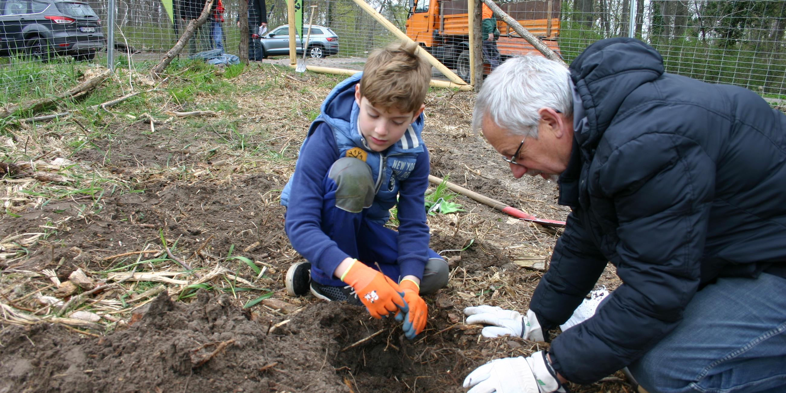 Noa pflanzt mit seinem Opa einen Baum