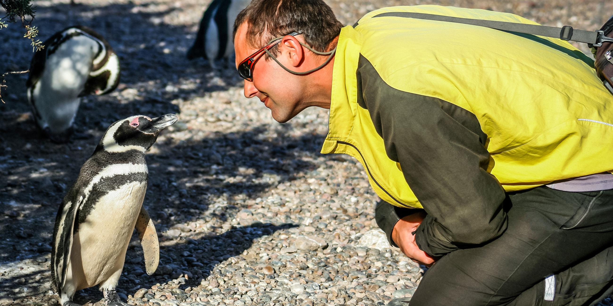 Ein Man beugt sich zu einem kleinen Pinguin am Strand herunter, der ihm sehr nahe kommt und si mit ihm zu unterhalte scheint.