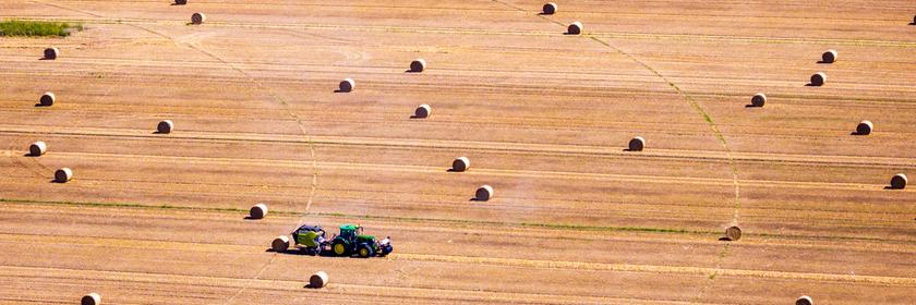 Stohballen auf einem Feld. 