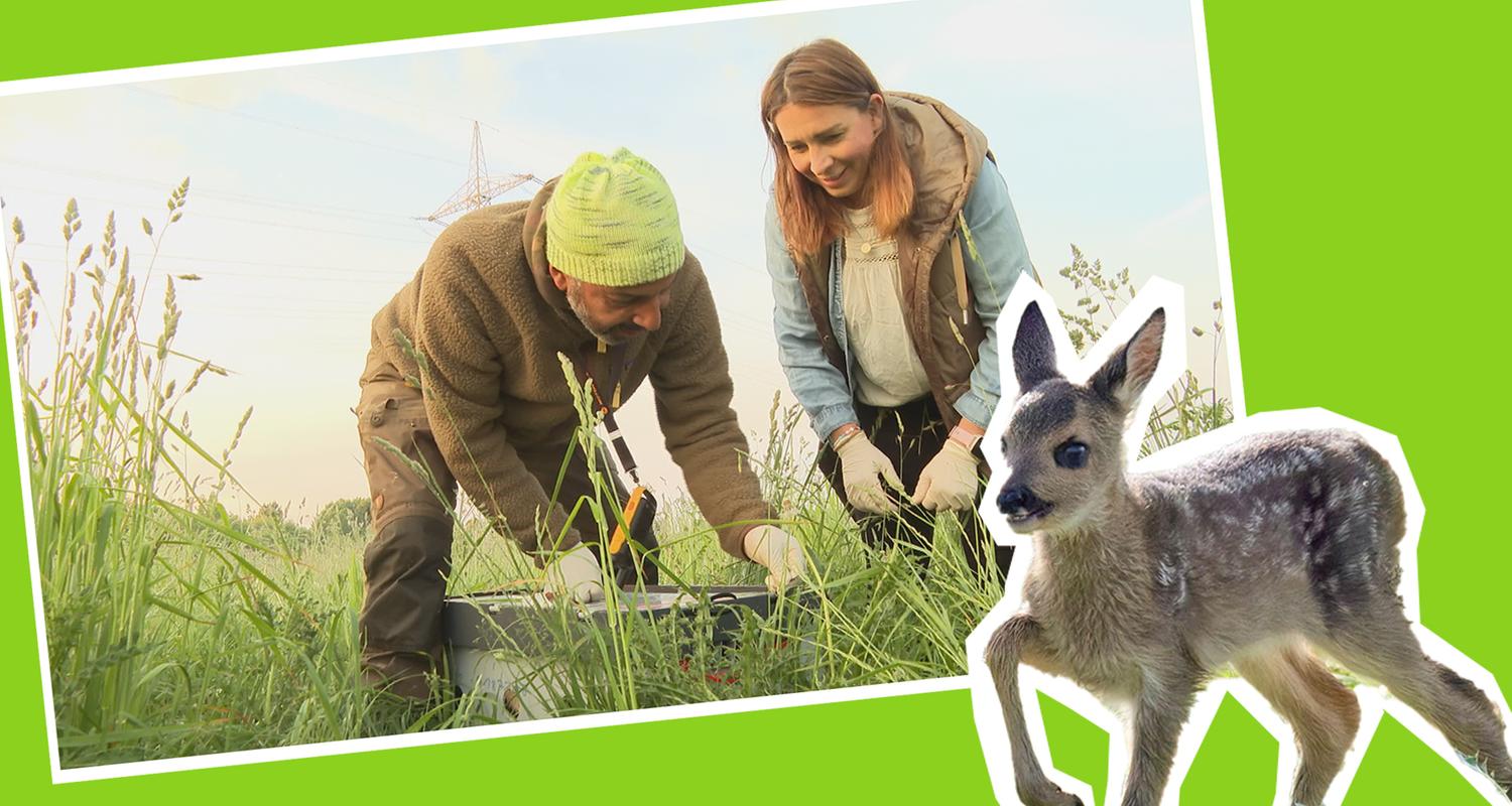 Magdalenda bei der Rehkitzrettung mit kleinem Rehkitz