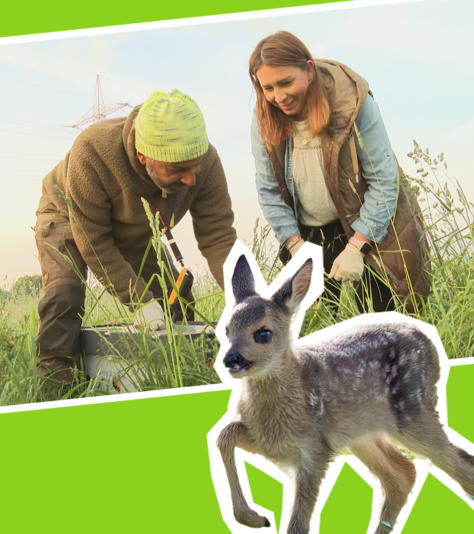 Magdalenda bei der Rehkitzrettung mit kleinem Rehkitz