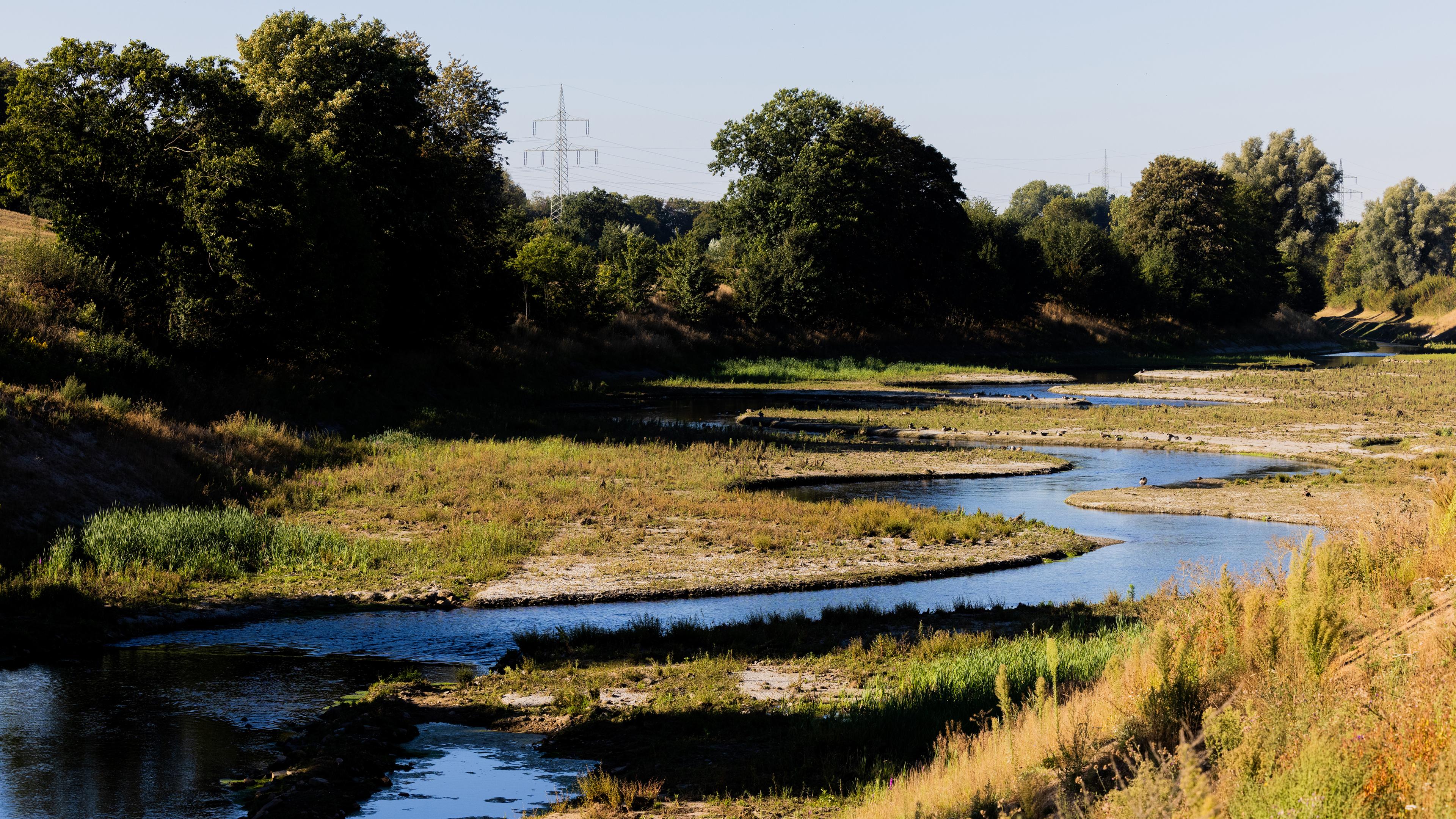 Der Fluss Emscher wurde in seinen natürlichen Zustand zurückversetzt.