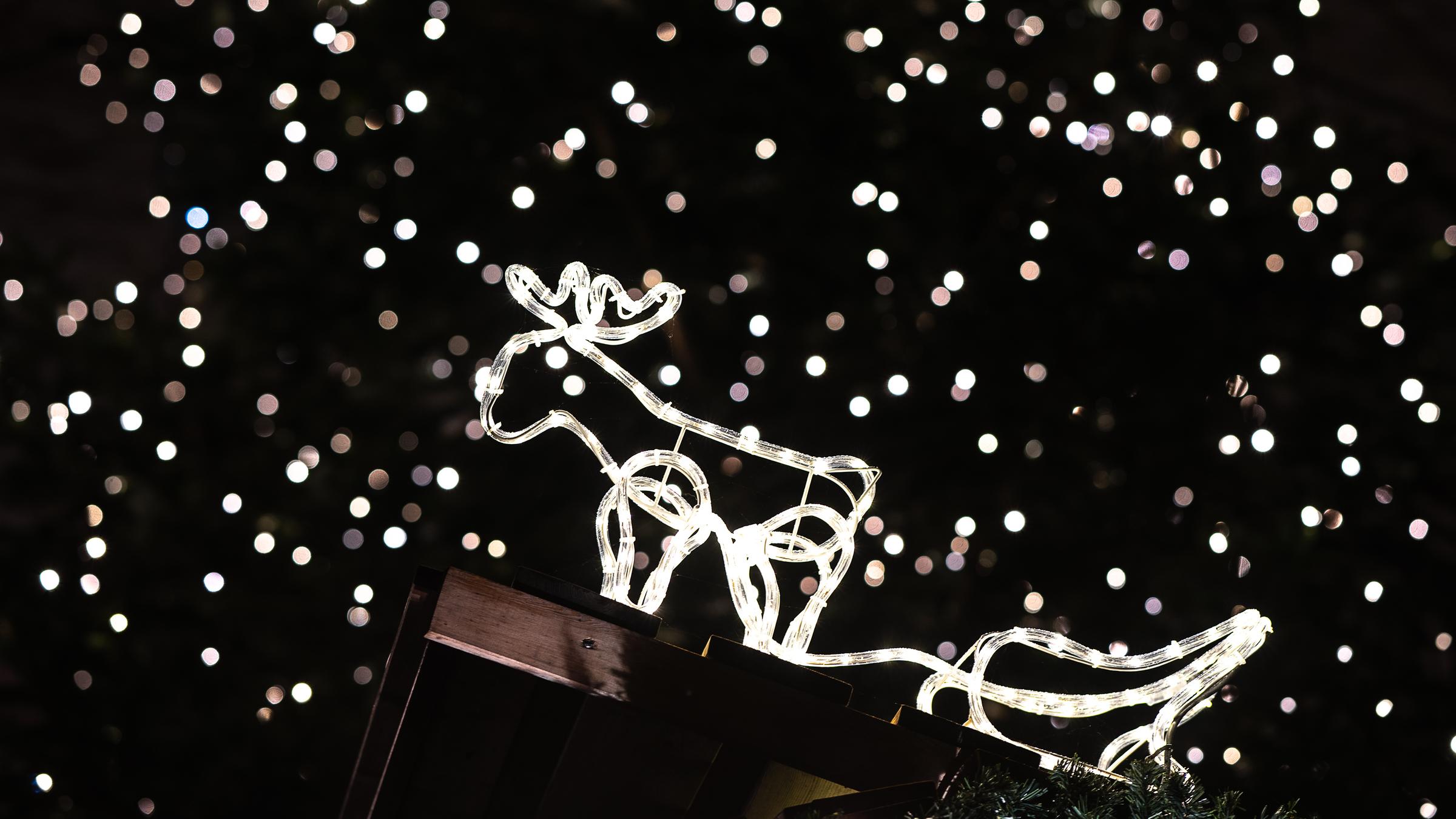 Eine Lichterkette mit einem Schlitten. 