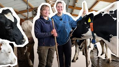 Isabelle auf dem Bauernhof