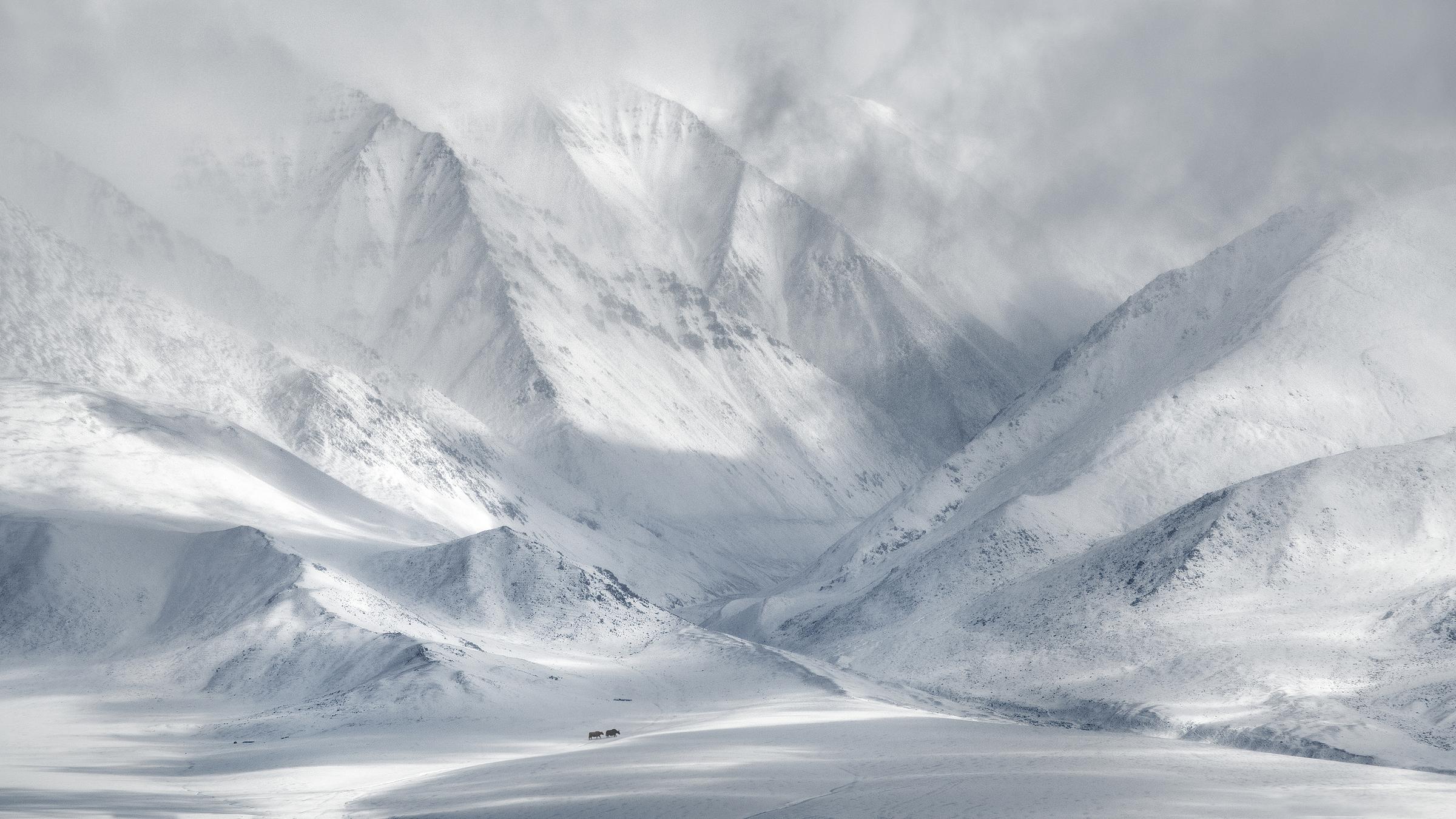 Mit Schnee bedeckte Sanddünen in der Mongolei