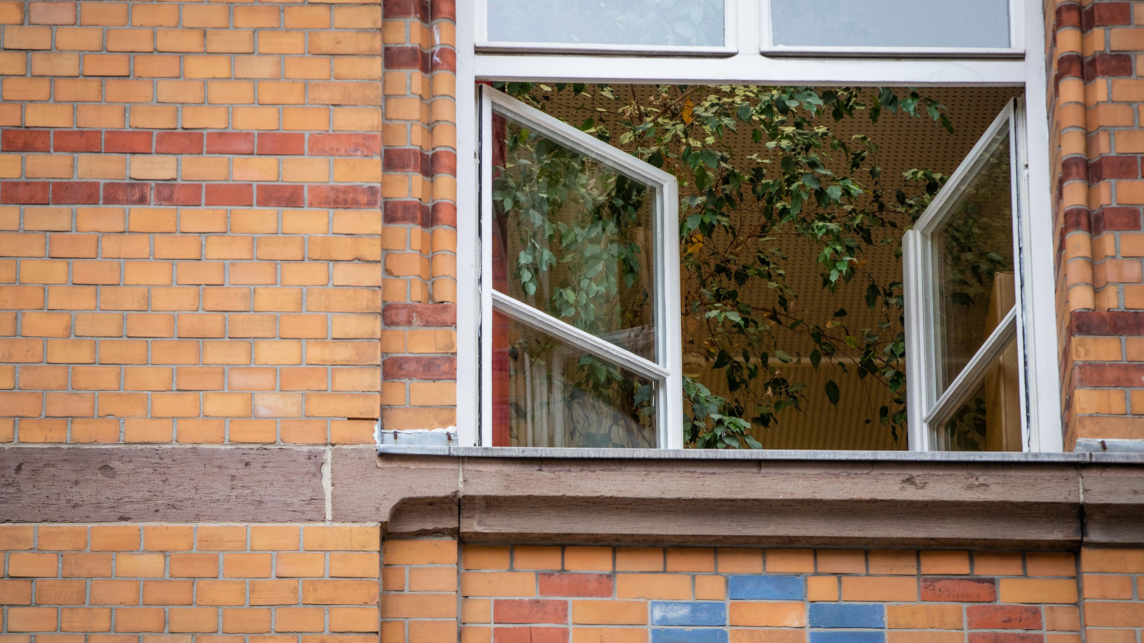Auf dem Bild sieht man eine Gebäudefassade aus orangen, roten und blauen Steinen. In der Fassade ist ein geöffnetes Fenster mit 2 Flügeln, die beide komplett geöffnet sind. In dem Raum dahinter sieht man die Blätter einer großen Zimmerpflanze und eine gelbe Zimmerdecke. 