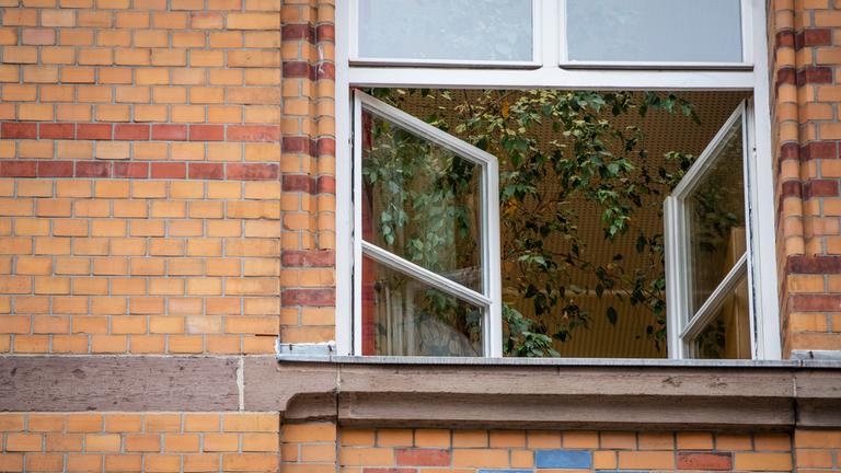 Auf dem Bild sieht man eine Gebäudefassade aus orangen, roten und blauen Steinen. In der Fassade ist ein geöffnetes Fenster mit 2 Flügeln, die beide komplett geöffnet sind. In dem Raum dahinter sieht man die Blätter einer großen Zimmerpflanze und eine gelbe Zimmerdecke. 