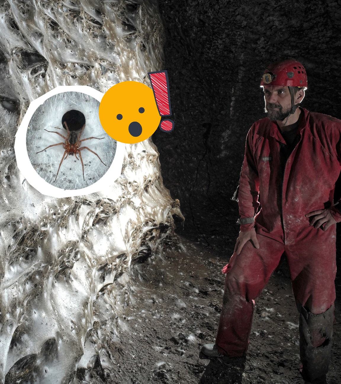 Gigantisches Spinnennetz in Höhle in Griechenland entdeckt.