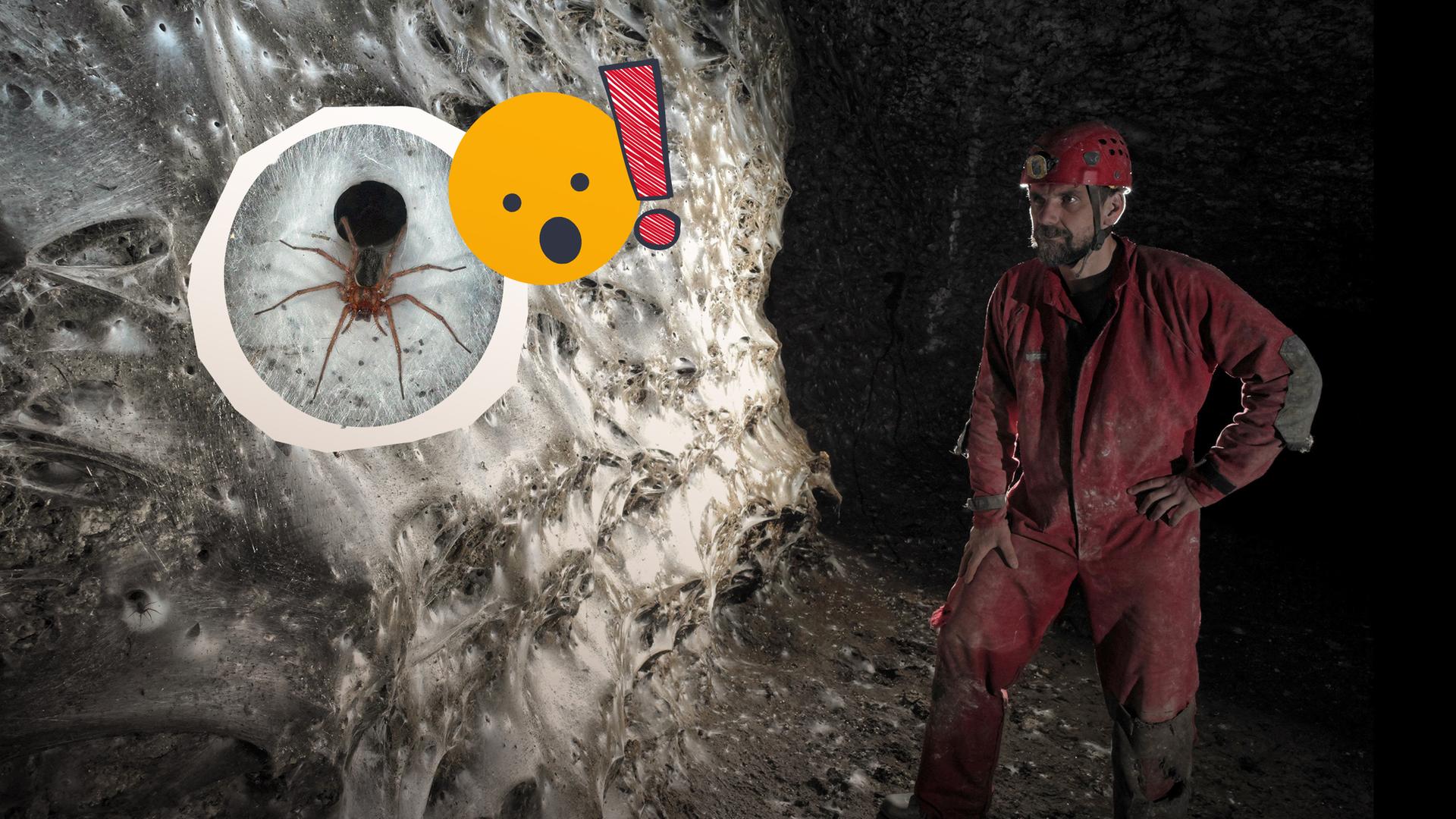 Gigantisches Spinnennetz in Höhle in Griechenland entdeckt.