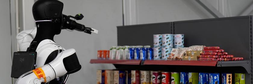 Roboter räumt Regale ein