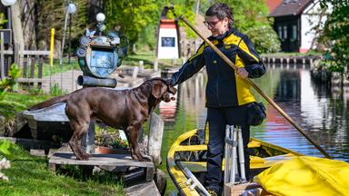Postbotin übergibt Hündin Ronja die Zeitung. Sie liefert die Post übers Wasser im Spreewald aus.