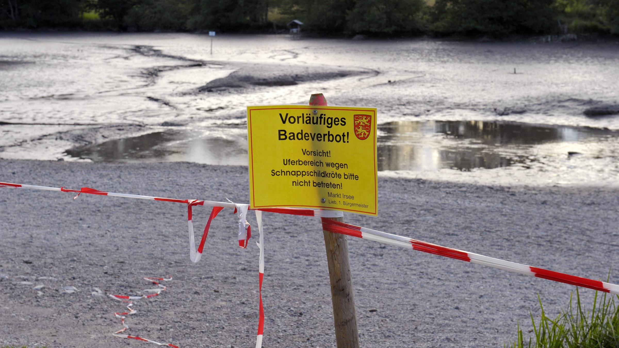 Jagd nach der Schnappschildkröte am am Oggenrieder Weiher im Ostallgäu