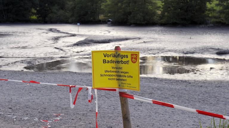 Jagd nach der Schnappschildkröte am am Oggenrieder Weiher im Ostallgäu
