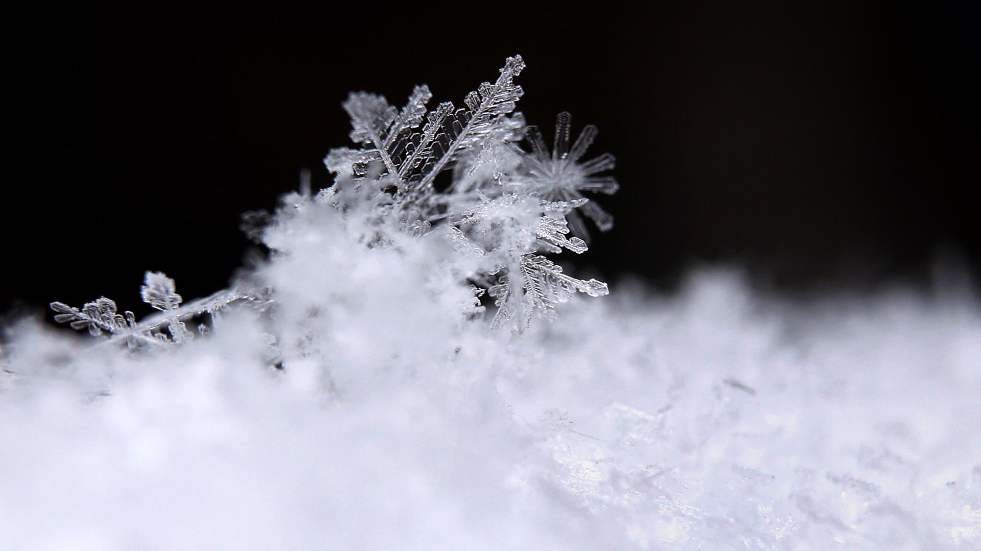 Ein Eiskristall, teil von frisch gefallenen Schneeflocken, liegt auf einem Schneehaufen.