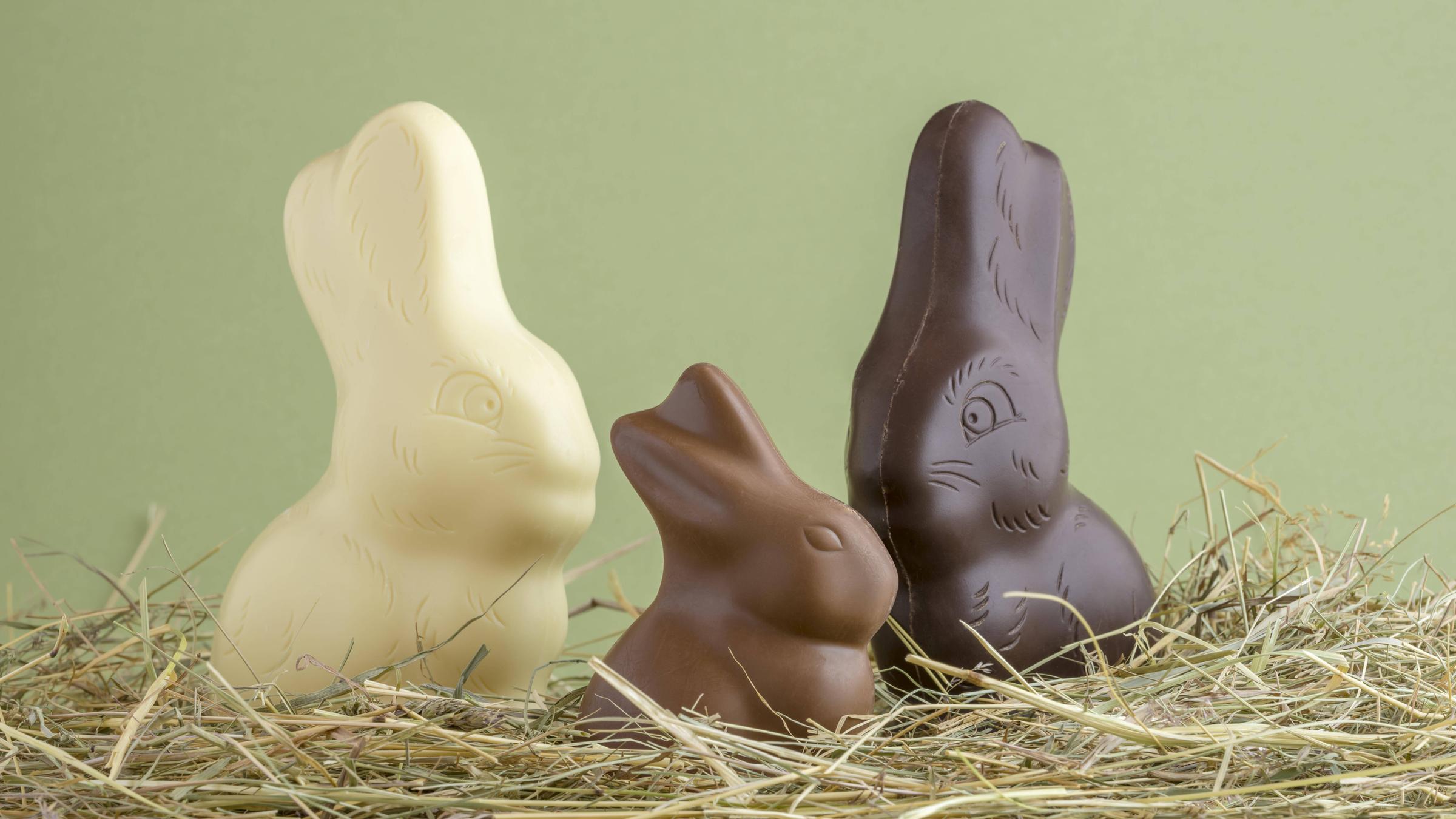 Schoko Osterhasen im Heu