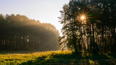  Die Sonne geht über der Landschaft im Wildpark Schorfheide auf. In Berlin und Brandenburg ist es in den nächsten Tagen trocken und mild.