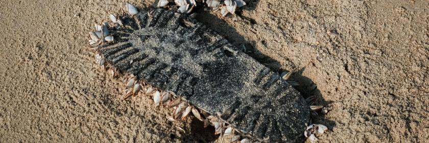 Schuhsohle am Strand mit Muscheln